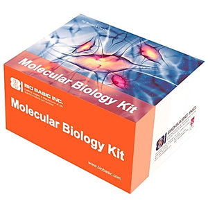 Fast DNA Ligation Kit