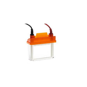 EZ-PAGE Electrophoresis System