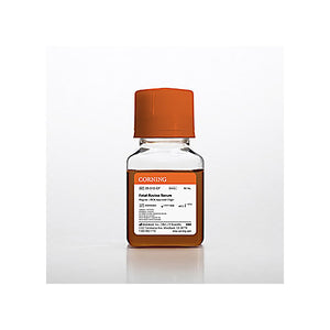 Fetal Bovine Serum, Regular, USDA 50mL