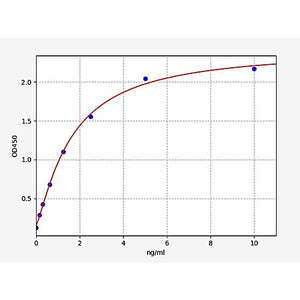 Rat MMP10 ELISA Kit