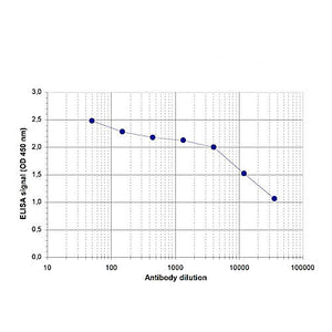 Anti-ZBTB38 (RABBIT) Antibody, 100µL, Liquid (sterile filtered)