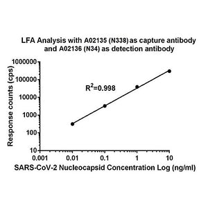 MonoRab™ SARS-CoV-2 Nucleocapsid Antibody (N34), mAb, Rabbit