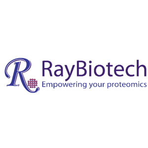 Bovine Decorin ELISA