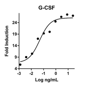 Humankine™ Recombinant Human G-CSF