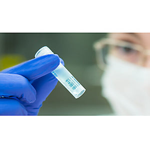 NATtrol Escherichia coli (Stool Matrix)
