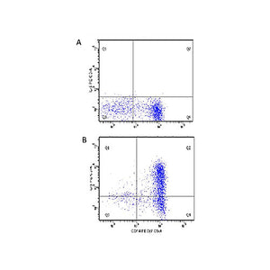 Anti-Human IL-6 (MOUSE) Monoclonal Antibody, 100µg, Liquid (sterile filtered)