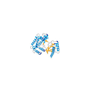 Epidermal Growth Factor, human, recombinant, =98%, 100 µg