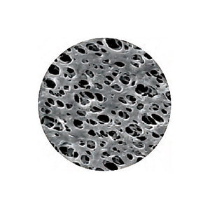 Filter, Disk, NC,0.4µm, BL,GRD,ST,47mm, 250/Pk