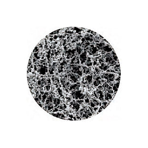 Filter, Disk, CA, 0.8µm, 13mm, 100/Pk