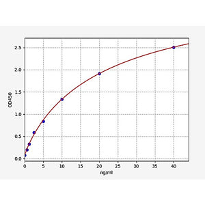 Human MTR/Methionine synthase ELISA Kit