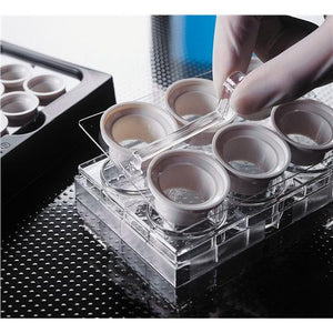 Netwell™ White Reagent Trays