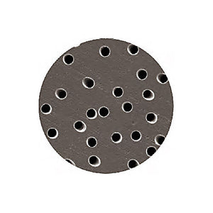 Filter, Disk, PETE, 0.4µm, 142mm,20/Pk