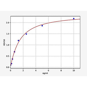 Human H-RAS ELISA Kit