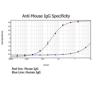 Anti-MOUSE IgG (H&L) (RABBIT) Antibody (Min X Human Serum Proteins), 2mg, Liquid (sterile filtered)