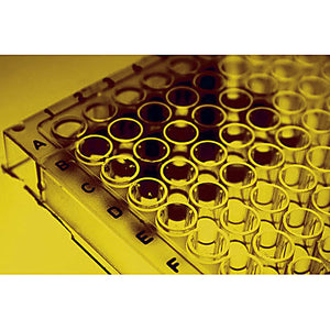 Immunotag™ Rat Duox2 (Dual oxidase 2) ELISA