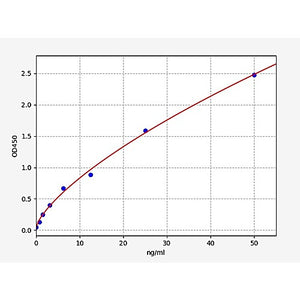 Human PGAM1/Phosphoglycerate Mutase 1 ELISA Kit