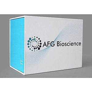 Human amyloid precursor like protein peptides 1b28 (APL1b28) ELISA Kit