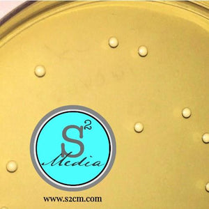 Brain Heart Infusion Agar (BHI)