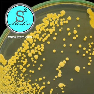 Plate Count Agar (PCA)/Standard Methods Agar (SMA)