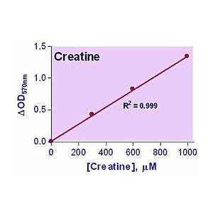 EnzyChrom™ Creatine Assay Kit