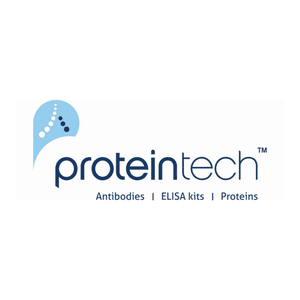 Zinc Finger Protein 71