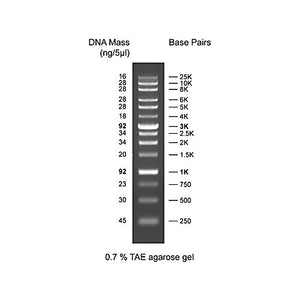 Diamond Ready-to-Use DNA Ladder 250-25Kbp, 500µL, Liquid (in 1x Loading Buffer)