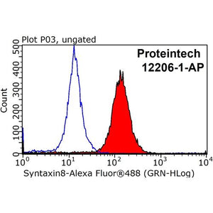 STX8 Rabbit Polyclonal Antibody (12206-1-AP)