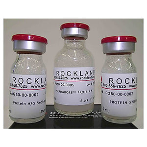 SEPHAROSE™ PROTEIN A