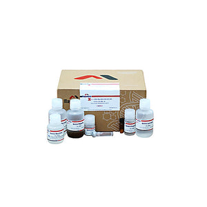 XpressDNA Bacteria Kits