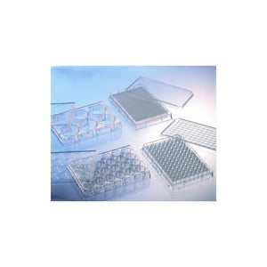 384 Well Poly-D-Lysine CELLCOAT® Plates