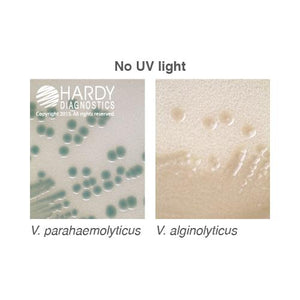 HardyCHROM™ Vibrio
