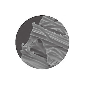 Filter, Disk, GE,PCTE, 8.0µm, 25x80mm,50/PK
