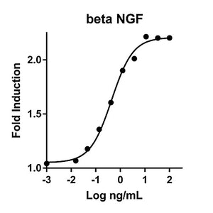 Humankine™ Recombinant Human beta NGF