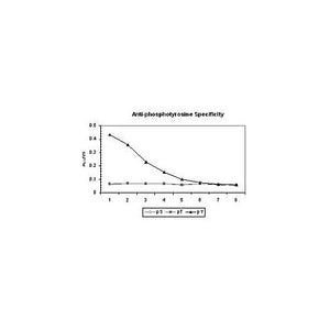 Anti-PhosphoTyrosine (Ascites) (MOUSE) Monoclonal Antibody, 100µL, Liquid (sterile filtered)