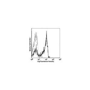 Anti-CD27 (MOUSE) Conjugated Monoclonal Antibody