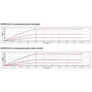 MonoRab™ SARS-CoV-2 Nucleocapsid Antibody (N66), mAb, Rabbit
