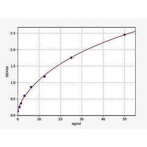 Rat PKLR/Pyruvate Kinase, Liver And RBC ELISA Kit