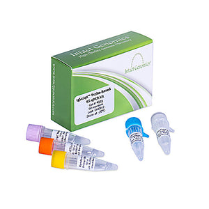 igScript™ Probe Based RT-qPCR Kit