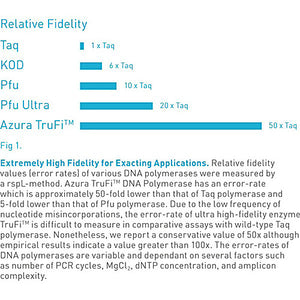 TruFi™ DNA Polymerase