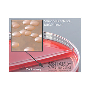 Blood Agar/MacConkey (Blood/MAC) Biplates